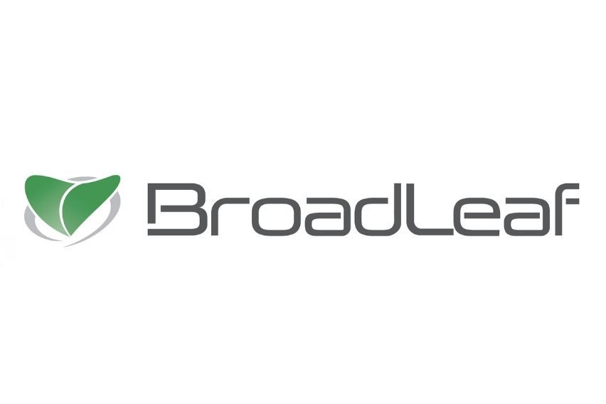 Broadleaf