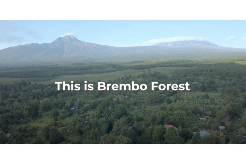 WATCH: Brembo to plant forest of 14,000 trees for carbon neutrality