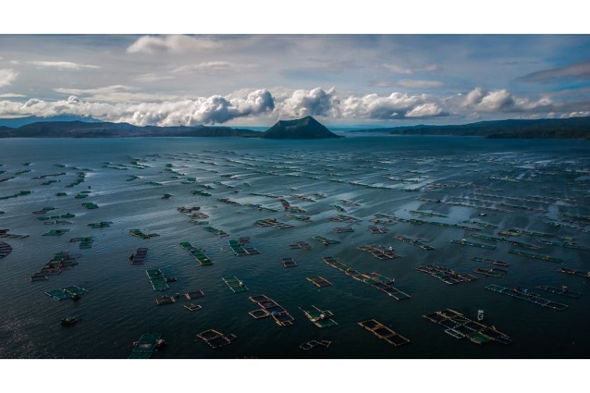 Bentley Embrace Extraordinary