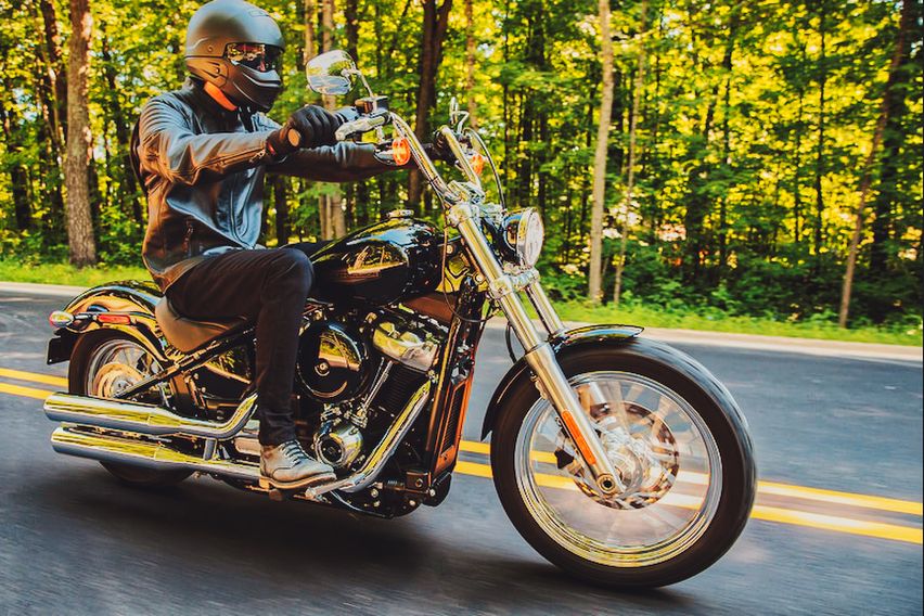 Harley-Davidson-Softail-Standard-on-the-Road