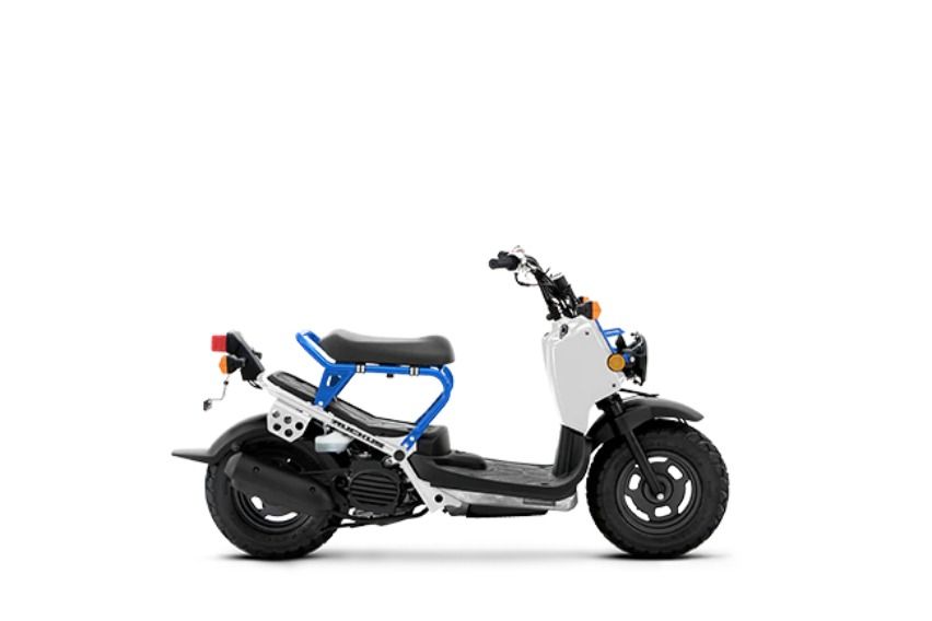 Honda Ruckus