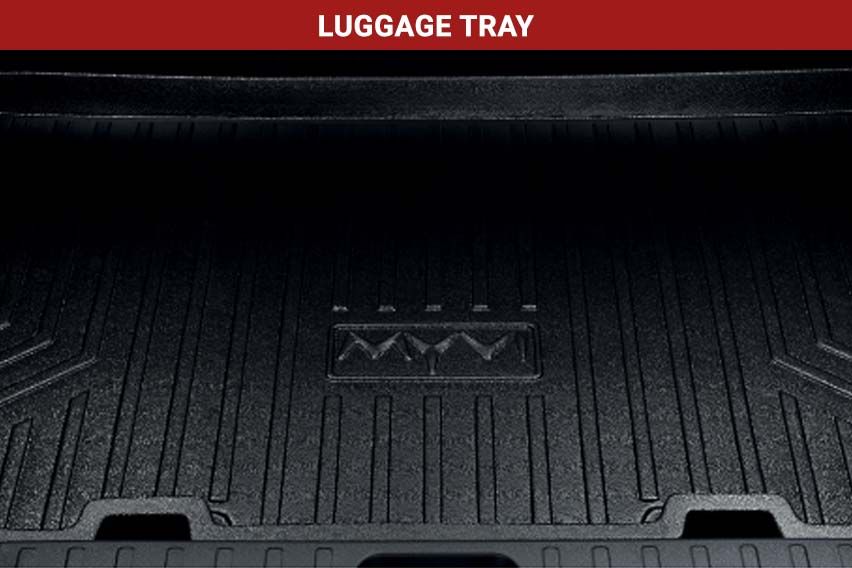 Luggage tray 