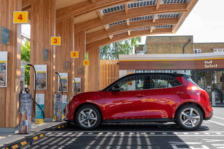 Ora Funky Cat First Edition specs