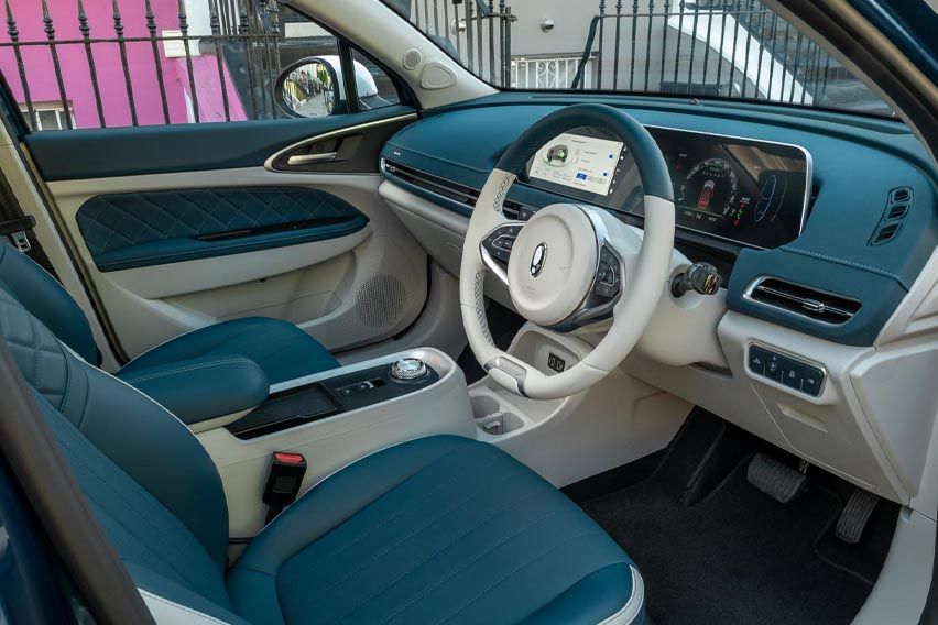 Ora Funky Cat First Edition cabin