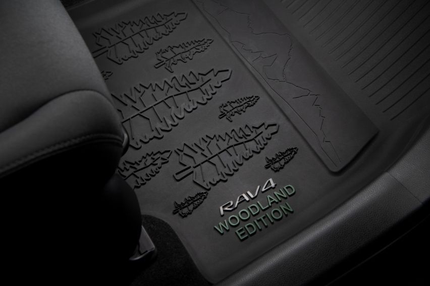 Toyota RAV4 Hybrid Woodland Edition