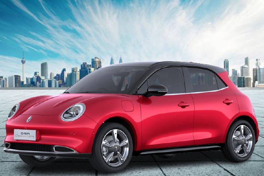 Ora Good Cat Dimensions