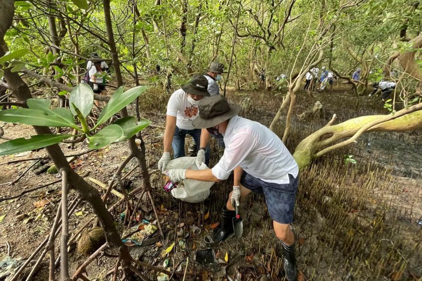 Toyota's reforestation activities