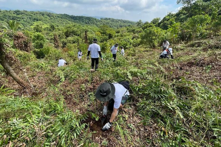 Toyota's reforestation activities
