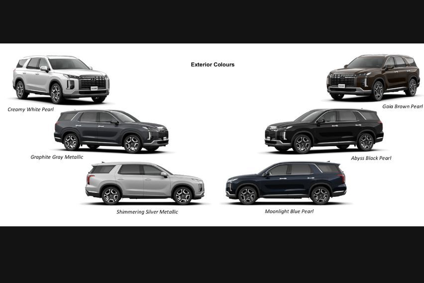 Palisade exterior colours