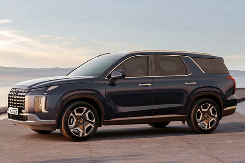 Palisade side profile