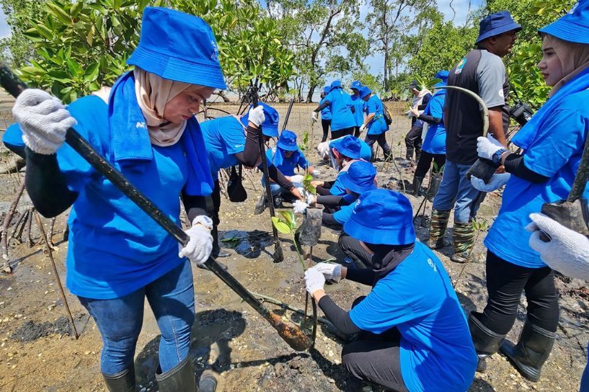 UMW Toyota held a tree planting programme at Tanjung Tuan, Melaka