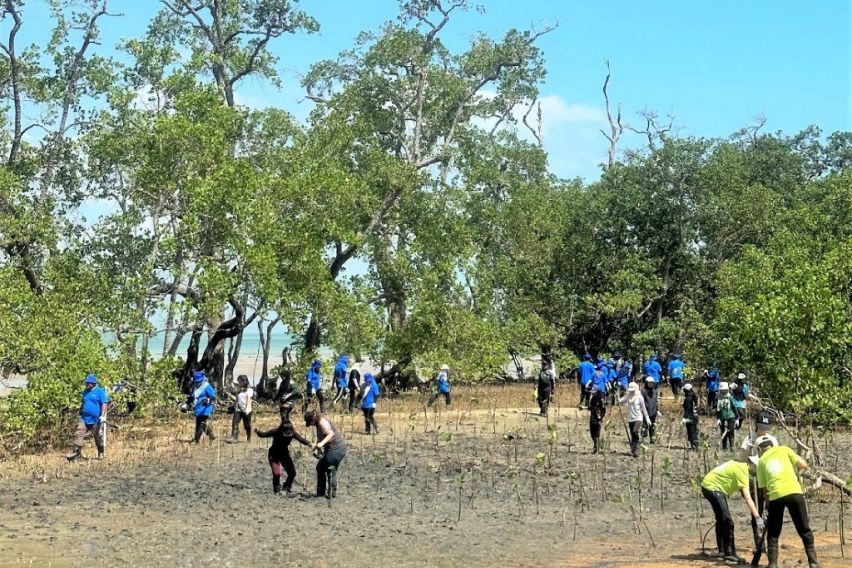 UMW Toyota held a tree planting programme at Tanjung Tuan, Melaka