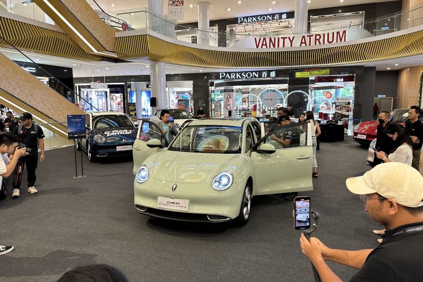 Ora Good Cat Pistachio Green colour 