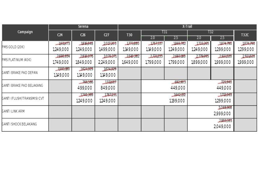 Nissan service program