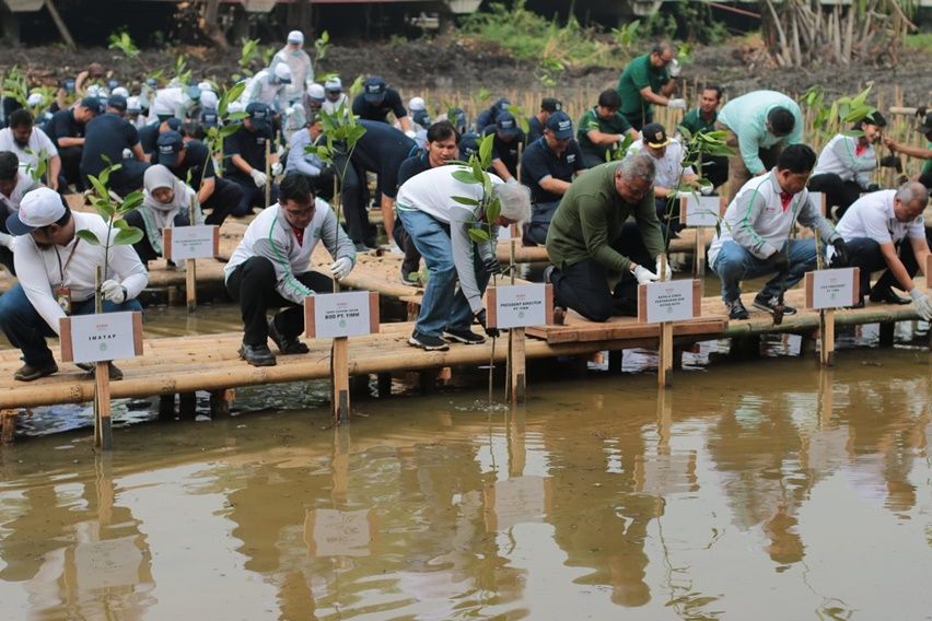 Yamaha tanam mangrove