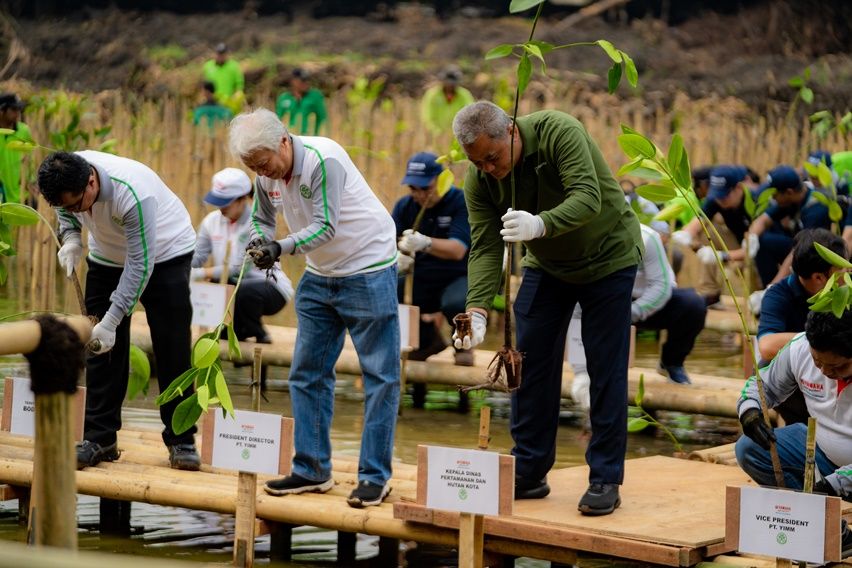 Yamaha tanam mangrove