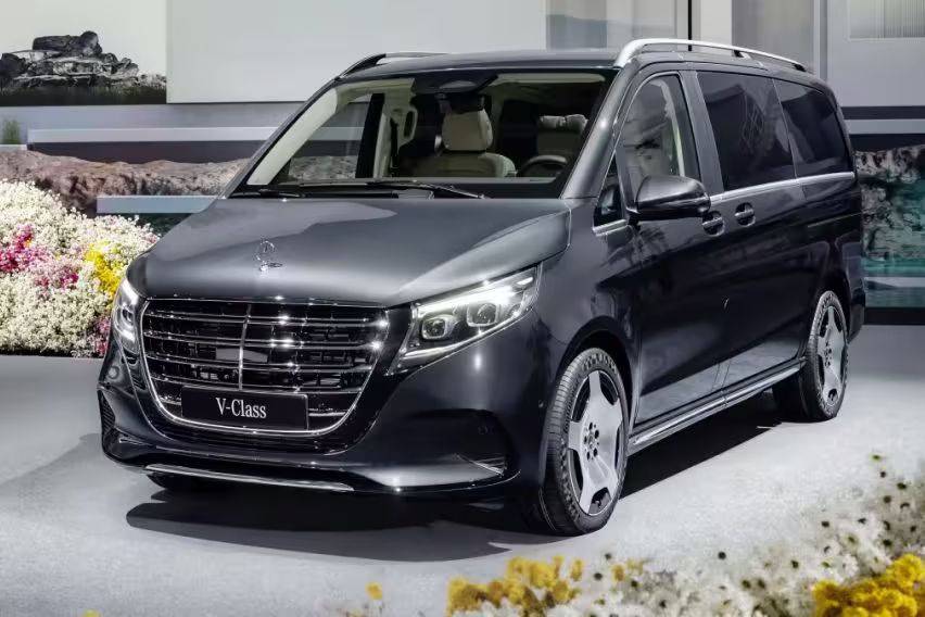 Mercedes v deals class eqv