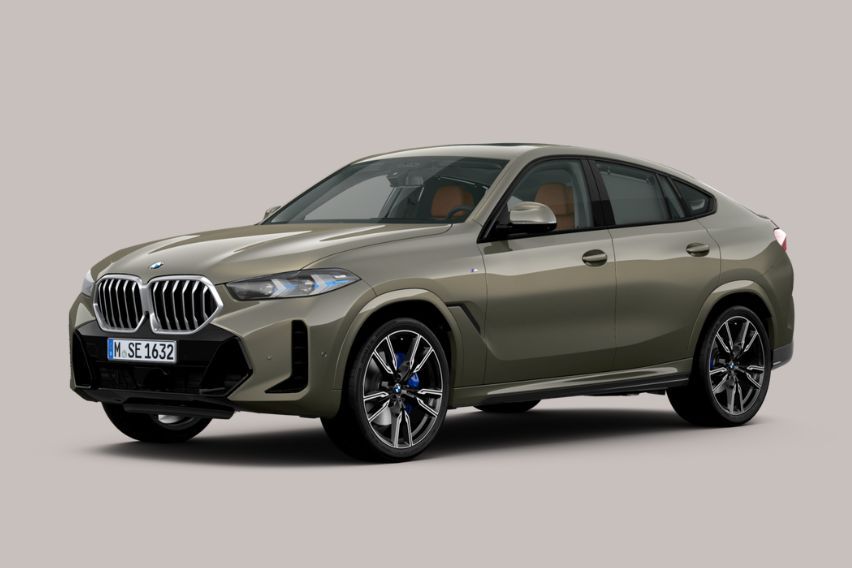 2023 BMW X6