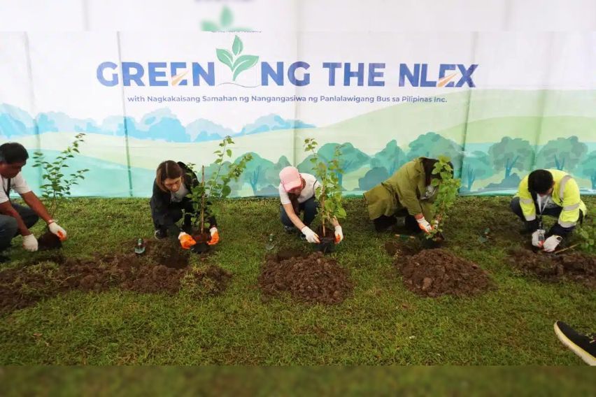 Over 211K Trees Planted Around NLEX, SCTEX Under 'Greening the NLEX' Program