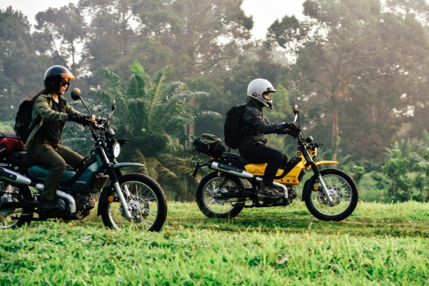 Aveta Ranger Max Explorer