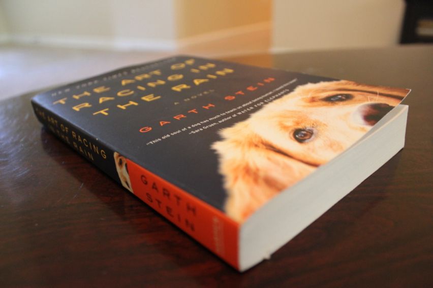 "The Art of Racing in the Rain" by Garth Stein