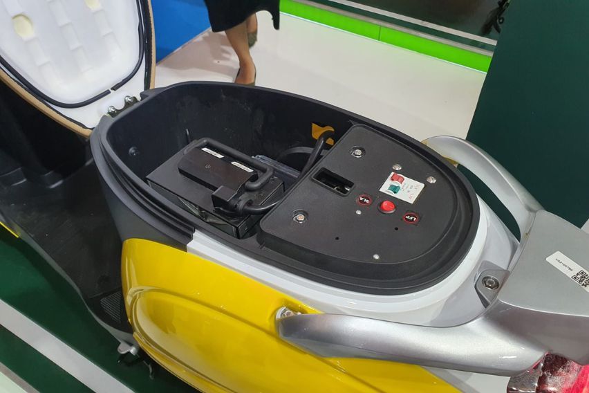 Volta Mandala di PEVS 2024