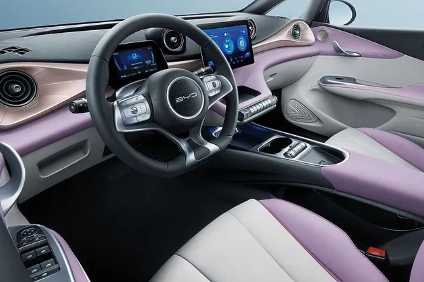 BYD dolphin front cabin alternate view