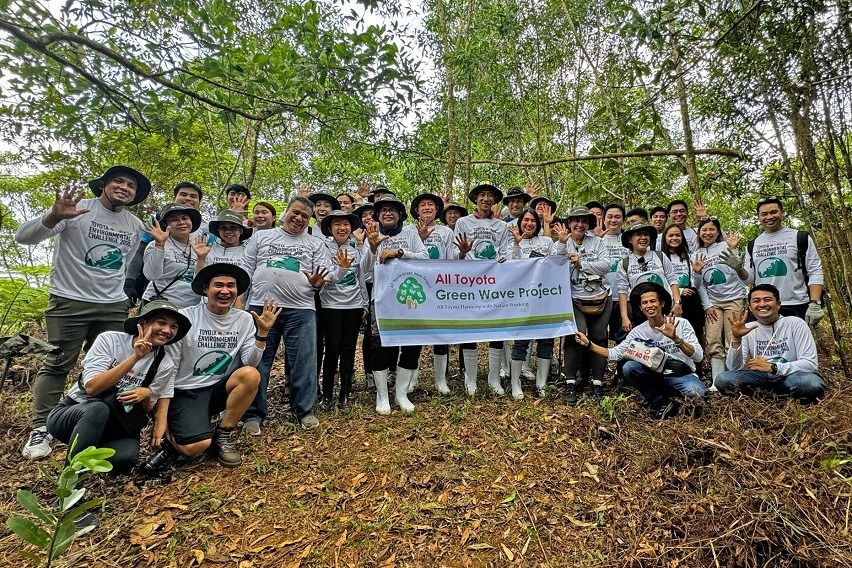 TMP reforestation