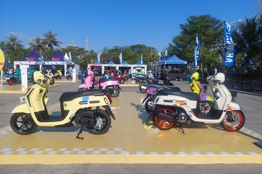 Fazzio Modifest 2024