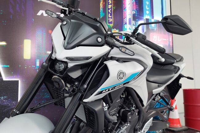 2025/01/New-Yamaha-MT-25-Icy-Grey-6.jpeg
