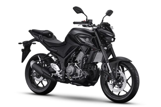 2025/01/New-Yamaha-MT-25-Midnight-Black-1.jpg