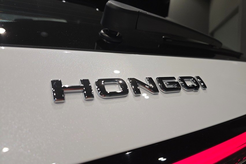 Check out the Hongqi E-HS9's opulent interior 