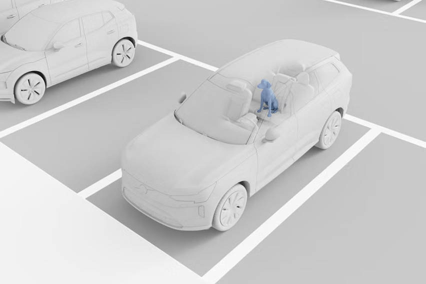 Volvo Occupant sensing