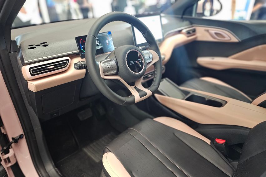 BYD Seagull Seashell Pink