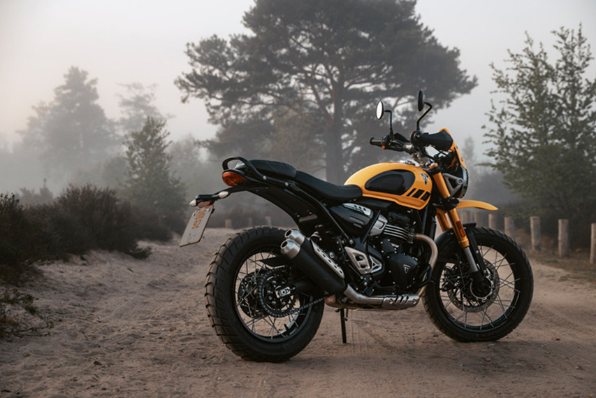 Triumph Scrambler 400xc rear view