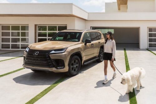 Lexus PH to pamper pets with pop-up at Mitsukoshi
