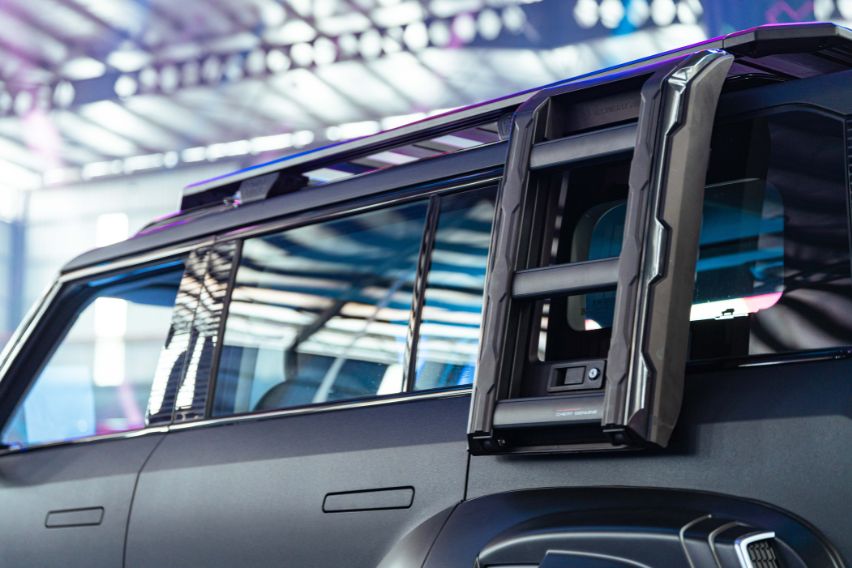 iCAUR 03 Body side ladder