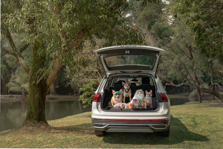 Volkswagen Malaysia launches Pet Collection “Furever in Style”