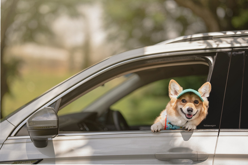 Volkswagen Malaysia Furever in Style collection view