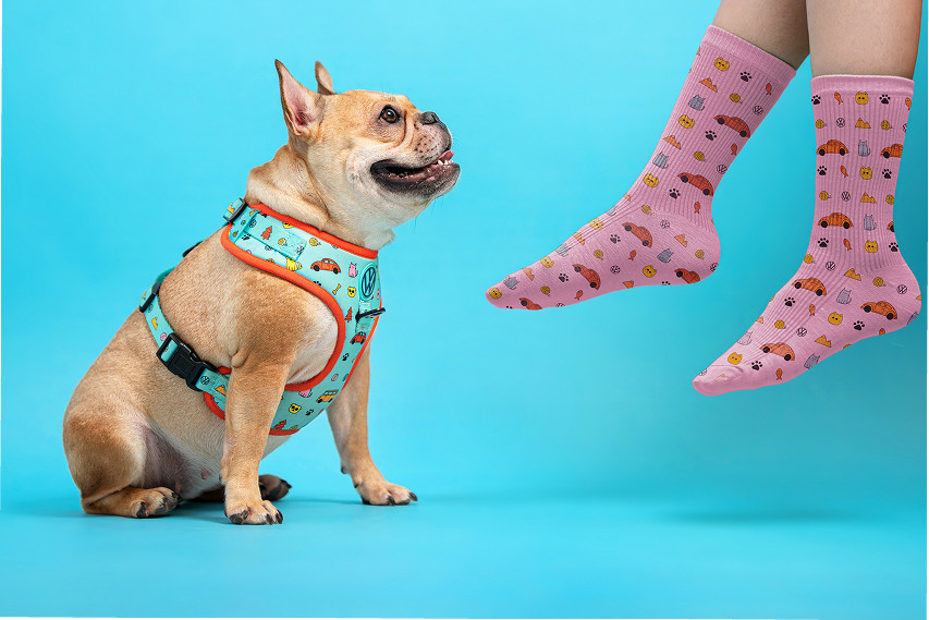 VW Malaysia Furever in Style” Pet Collection