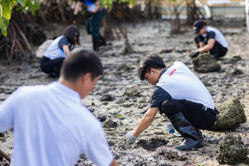 Toyota Motor PH commits to planting 1-M trees by 2030