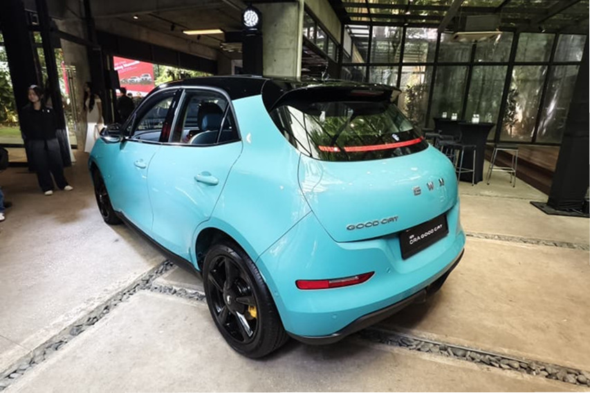 Ora Good Cat Ultra rear view