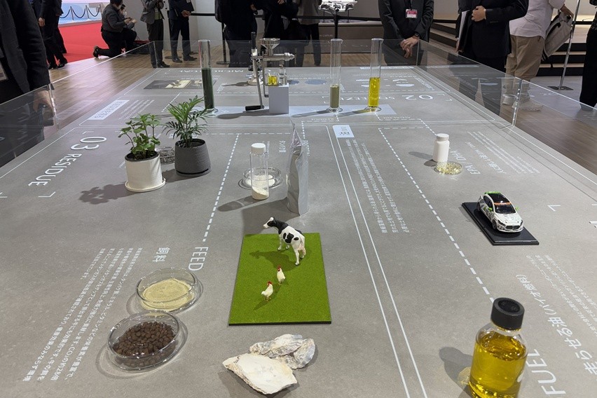 Peta pengembangan biofuel alga Mazda