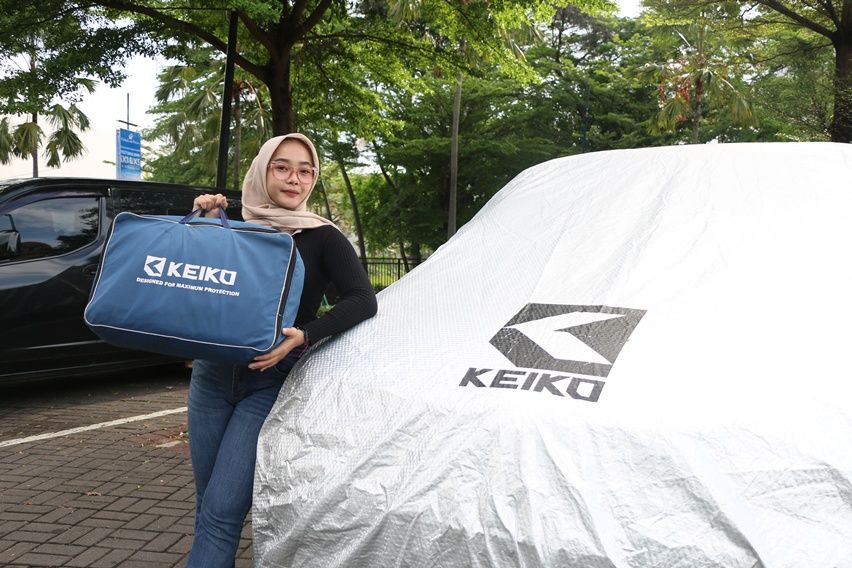 Perlindungan cat mobil