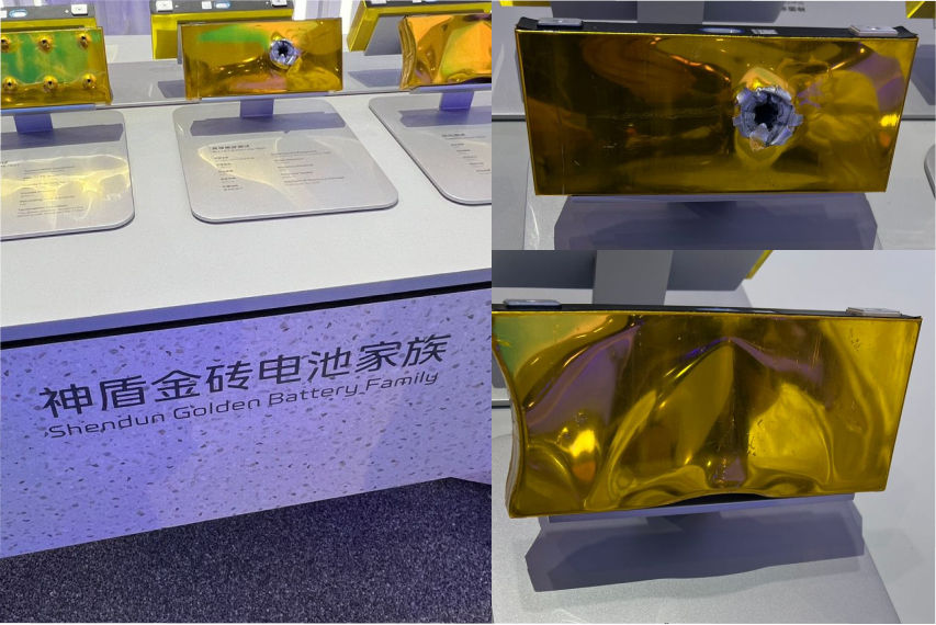 Proton emas7 battery technology