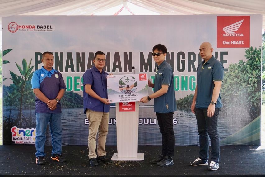 Honda Babel Hijaukan Pesisir Belitung, 500 Bibit Mangrove Ditanam di Desa Terong