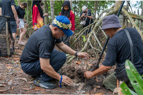 BYD Light the Change hits 500 trees in Malaysia after Carey Island mangrove planting