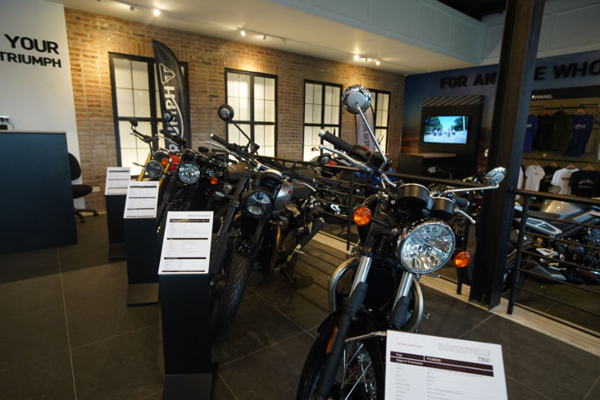 Triumph Lipa