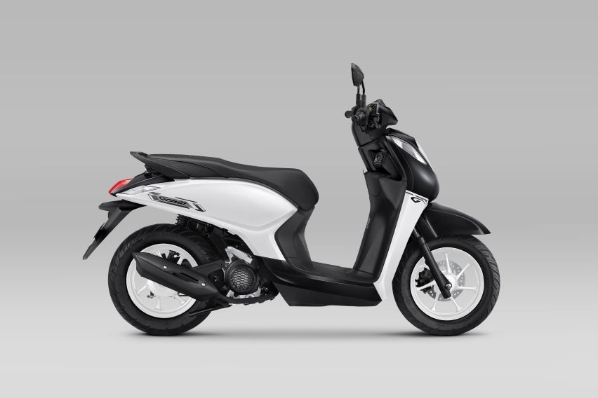 Vibrant Black & White Honda Genio